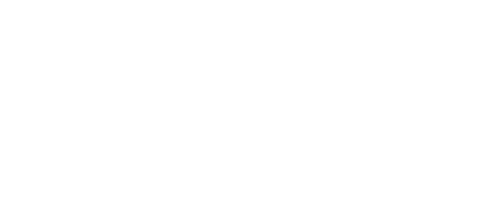 Digitek