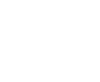 101